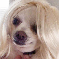 AnnaBell