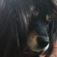 Izzy